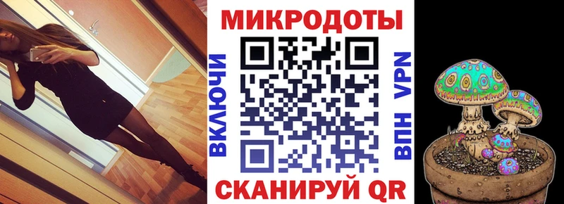 Псилоцибиновые грибы Psilocybe Белово